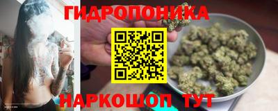 соль ск Обь